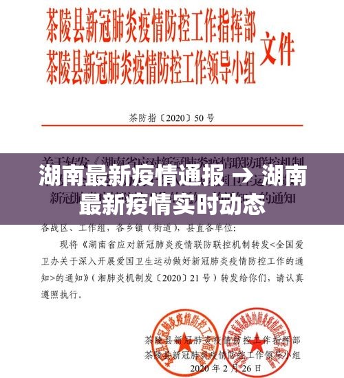 湖南最新疫情通报 → 湖南最新疫情实时动态