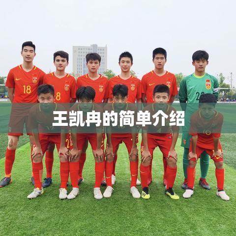 王凯冉的简单介绍 王凯冉的简单介绍