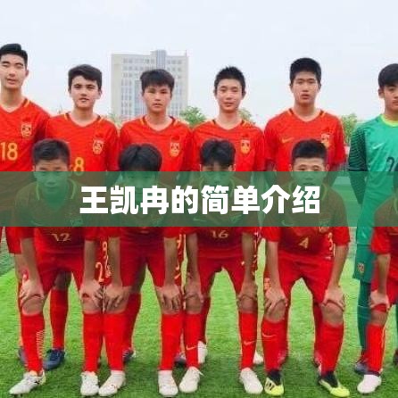 王凯冉的简单介绍 王凯冉的简单介绍