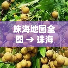 珠海地图全图 → 珠海地图市区图