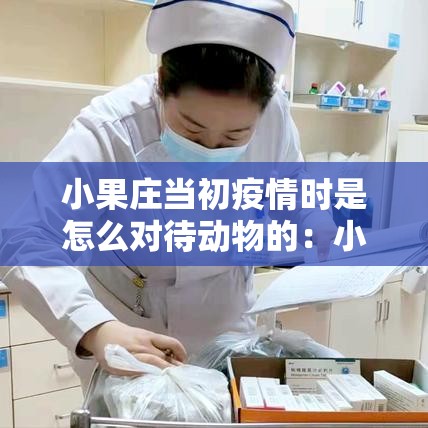 小果庄当初疫情时是怎么对待动物的：小果庄病毒来源