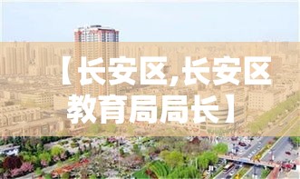 【长安区,长安区教育局局长】
