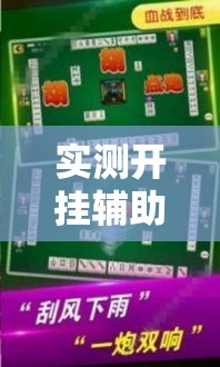 实测开挂辅助“哥哥杭州麻将怎么开挂”透视开挂辅助教程
