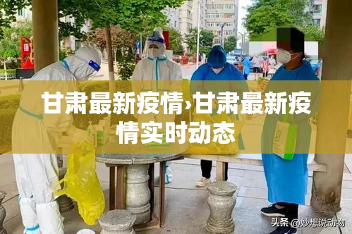 甘肃最新疫情›甘肃最新疫情实时动态