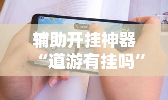 辅助开挂神器“道游有挂吗”科技辅助神器手机版教程