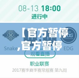 【官方暂停,官方暂停是什么意思】