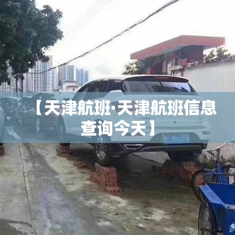 【天津航班·天津航班信息查询今天】