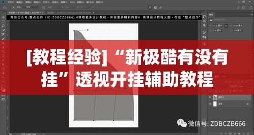 [教程经验]“新极酷有没有挂”透视开挂辅助教程
