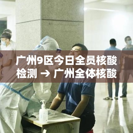 广州9区今日全员核酸检测 → 广州全体核酸