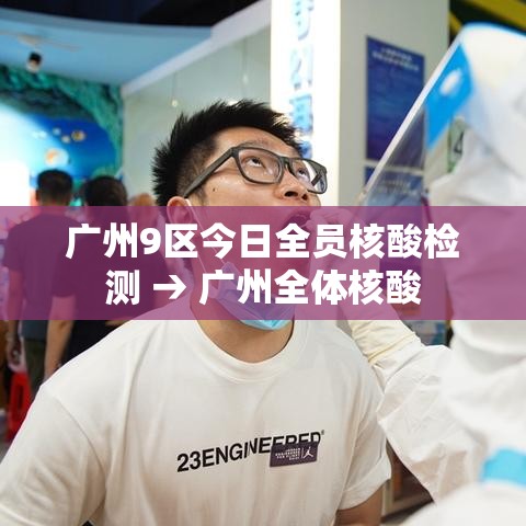 广州9区今日全员核酸检测 → 广州全体核酸