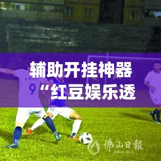 辅助开挂神器“红豆娱乐透视辅助器(辅助神器)开挂详细教程