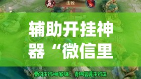 辅助开挂神器“微信里微乐麻将有诀窍”(透视挂)辅助透视教程