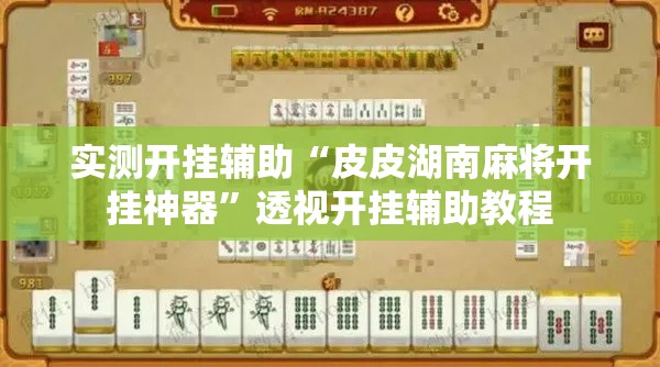 实测开挂辅助“皮皮湖南麻将开挂神器”透视开挂辅助教程