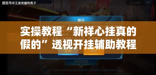 实操教程“新祥心挂真的假的”透视开挂辅助教程