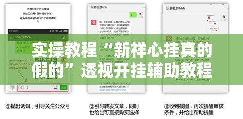 实操教程“新祥心挂真的假的”透视开挂辅助教程