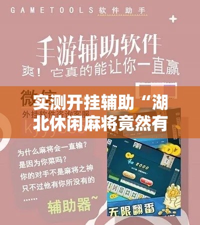 实测开挂辅助“湖北休闲麻将竟然有挂”科技辅助神器手机版教程