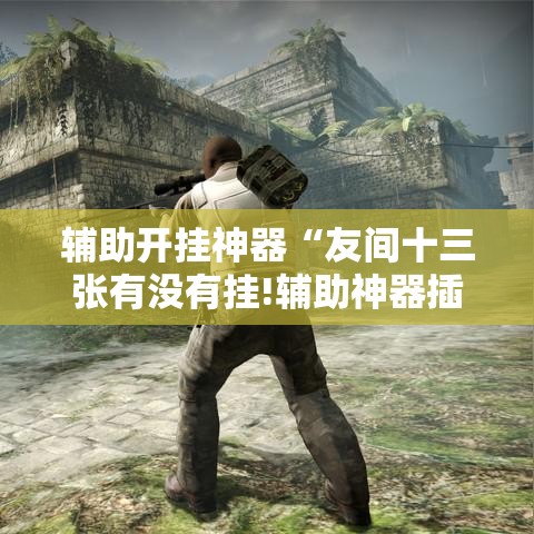 辅助开挂神器“友间十三张有没有挂!辅助神器插件下载