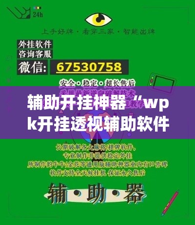 辅助开挂神器“wpk开挂透视辅助软件(辅助神器)开挂详细教程 辅助开挂神器“wpk开挂透视辅助软件(辅助神器)开挂详细教程