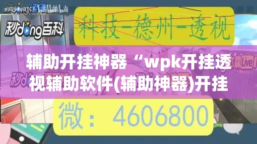 辅助开挂神器“wpk开挂透视辅助软件(辅助神器)开挂详细教程 辅助开挂神器“wpk开挂透视辅助软件(辅助神器)开挂详细教程