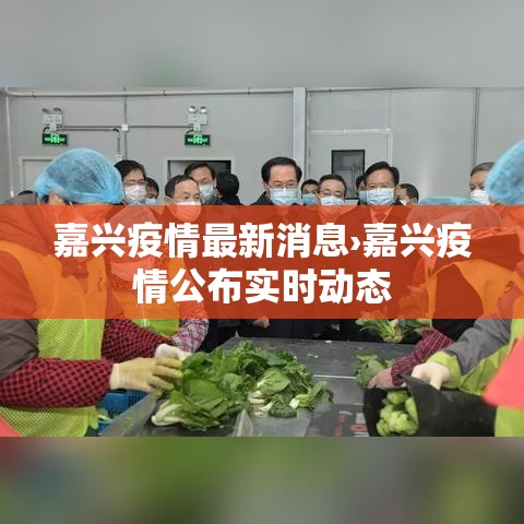 嘉兴疫情最新消息›嘉兴疫情公布实时动态