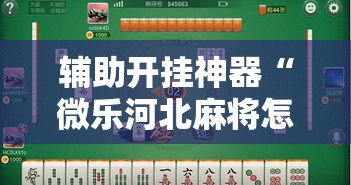 辅助开挂神器“微乐河北麻将怎么提高胜率	”透视开挂辅助教程