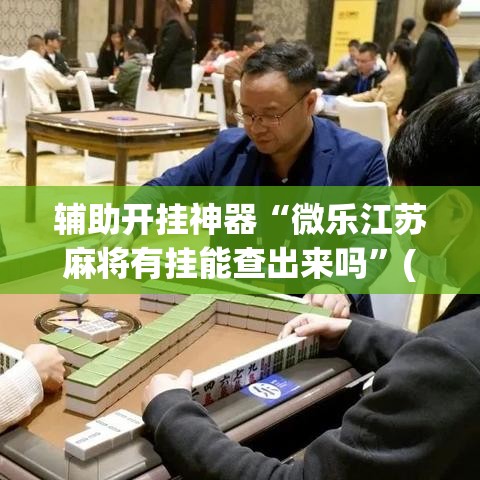 辅助开挂神器“微乐江苏麻将有挂能查出来吗”(透视挂)辅助透视教程