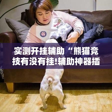 实测开挂辅助“熊猫竞技有没有挂!辅助神器插件下载