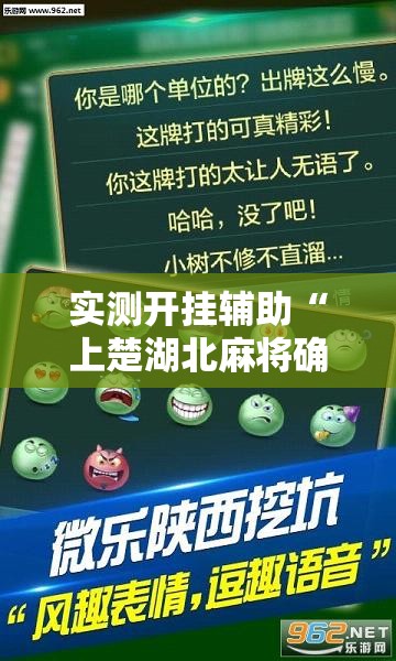 实测开挂辅助“上楚湖北麻将确实真的有挂”透视开挂辅助教程