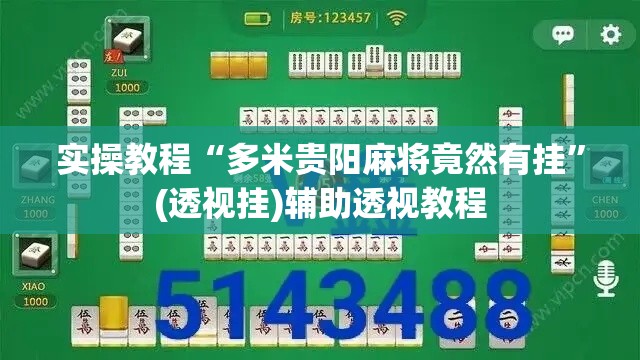 实操教程“多米贵阳麻将竟然有挂”(透视挂)辅助透视教程