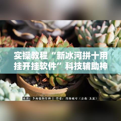 实操教程“新冰河拼十用挂开挂软件”科技辅助神器手机版教程