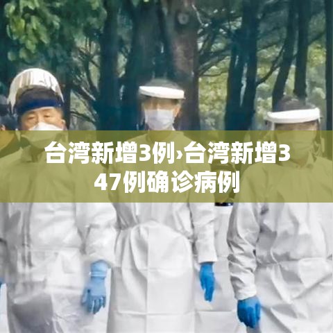 台湾新增3例›台湾新增347例确诊病例