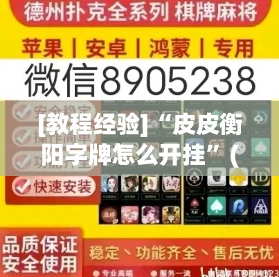 [教程经验]“皮皮衡阳字牌怎么开挂”(透视挂)辅助透视教程