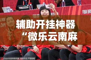 辅助开挂神器“微乐云南麻将免费开挂手机版	”透视开挂辅助教程