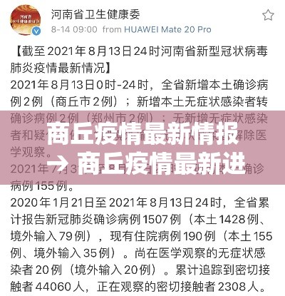 商丘疫情最新情报 → 商丘疫情最新进展