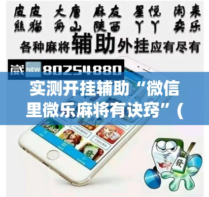 实测开挂辅助“微信里微乐麻将有诀窍	”(透视挂)辅助透视教程