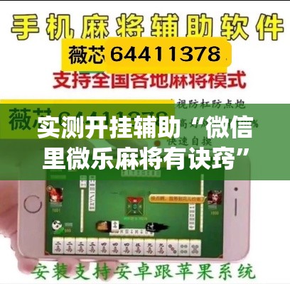 实测开挂辅助“微信里微乐麻将有诀窍”(透视挂)辅助透视教程