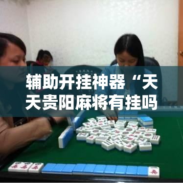 辅助开挂神器“天天贵阳麻将有挂吗”科技辅助神器手机版教程