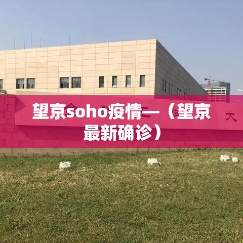 望京soho疫情—(望京最新确诊) 望京soho疫情—(望京最新确诊)