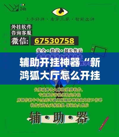 辅助开挂神器“新鸿狐大厅怎么开挂	”(透视挂)辅助透视教程