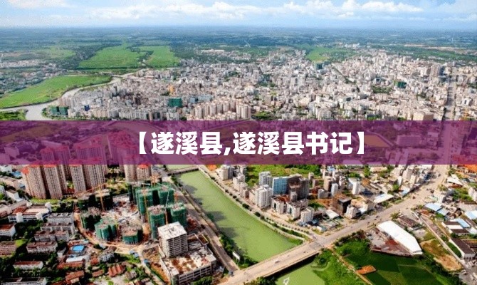 【遂溪县,遂溪县书记】