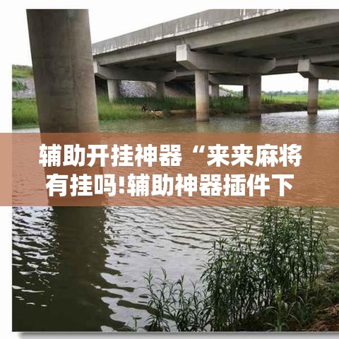辅助开挂神器“来来麻将有挂吗!辅助神器插件下载