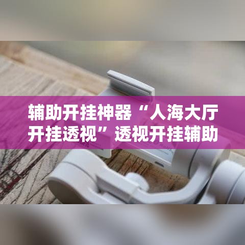 辅助开挂神器“人海大厅开挂透视”透视开挂辅助教程