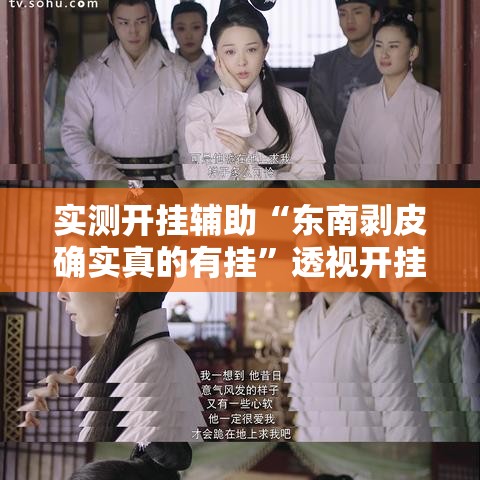 实测开挂辅助“东南剥皮确实真的有挂	”透视开挂辅助教程