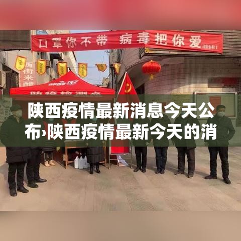 陕西疫情最新消息今天公布›陕西疫情最新今天的消息