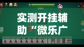 实测开挂辅助“微乐广西麻将万能开挂器通用版”透视开挂辅助教程