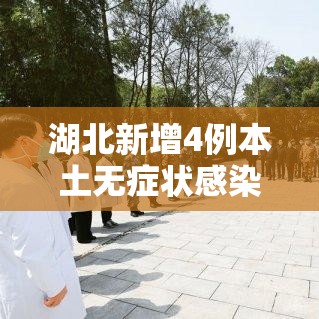 湖北新增4例本土无症状感染者:湖北新增无症状感染者9例,现有确诊病例6例 湖北新增4例本土无症状感染者:湖北新增无症状感染者9例,现有确诊病例6例