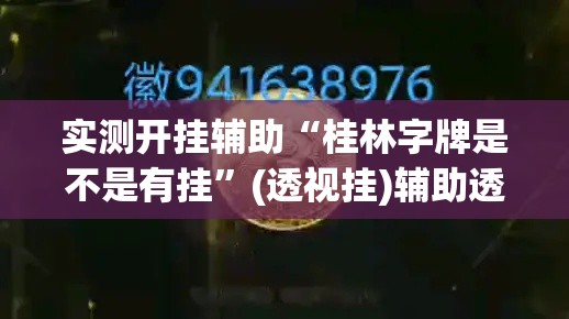 实测开挂辅助“桂林字牌是不是有挂	”(透视挂)辅助透视教程