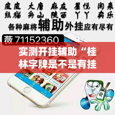 实测开挂辅助“桂林字牌是不是有挂”(透视挂)辅助透视教程