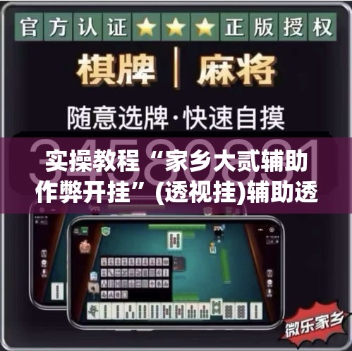 实操教程“家乡大贰辅助作弊开挂”(透视挂)辅助透视教程