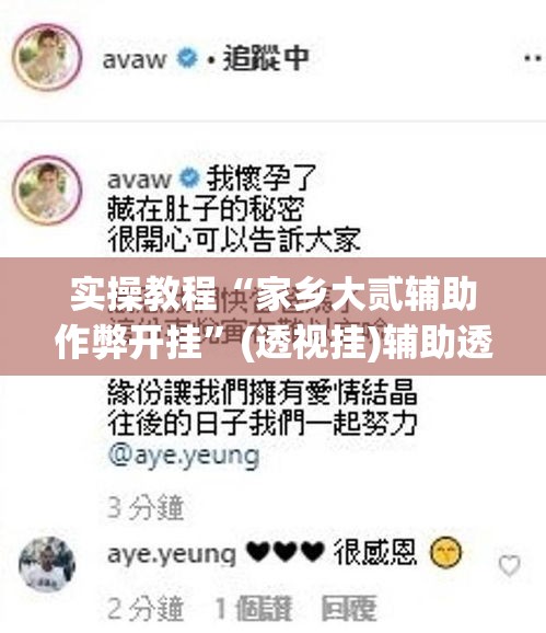 实操教程“家乡大贰辅助作弊开挂	”(透视挂)辅助透视教程